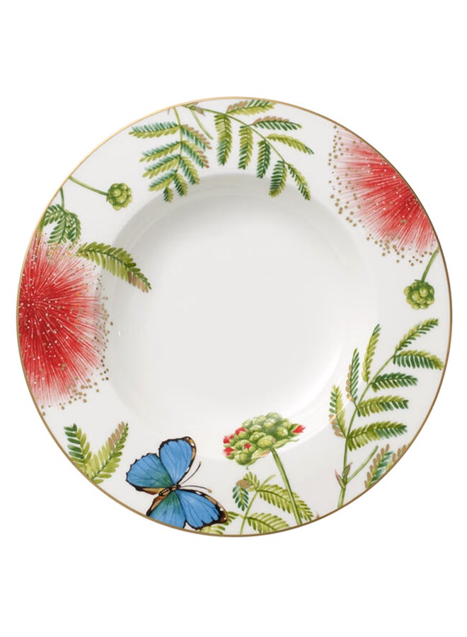 فيلوري آند بوخ 6-Piece Amazonia Anmut Soup Plate Set Multicolour 24cm 