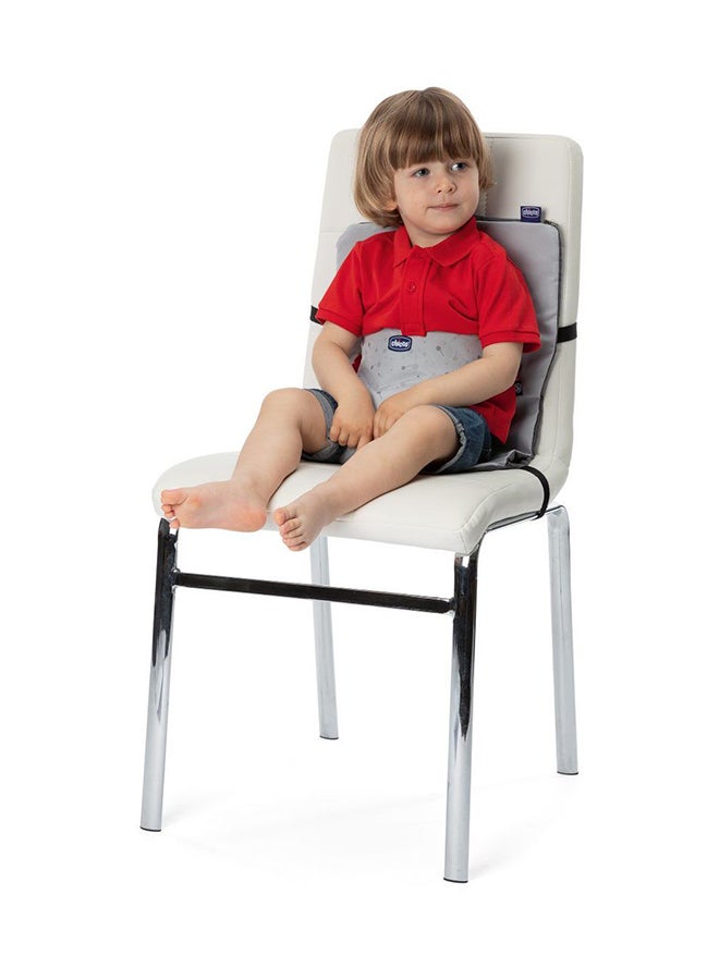Chicco - Wrappy Booster Seat, 6M+, Grey - Image 1