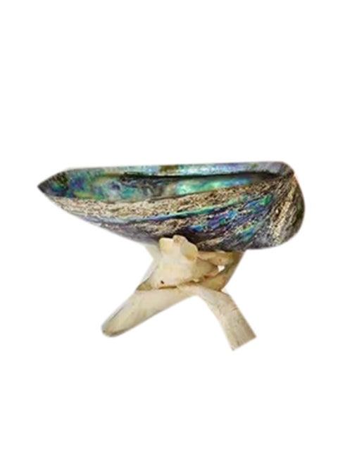 Abalone Shell With Natural Wooden Tripod Stand Multicolour 4inch