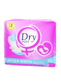 Dry Post Maternity Incontinence Large Pads, Count 10 10 Pads 