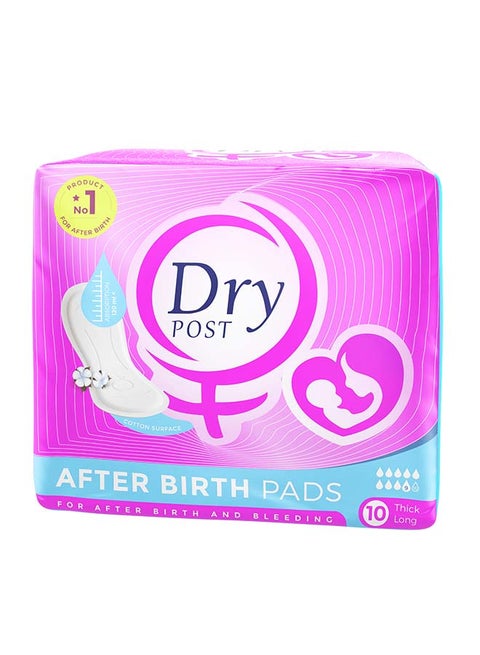 Maternity Incontinence Large Pads, Count 10 10 Pads