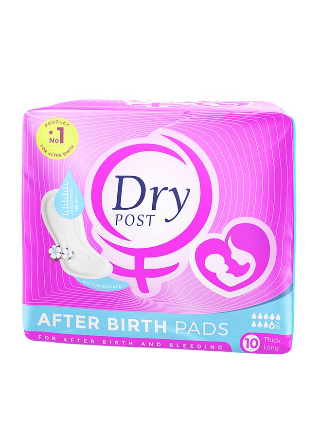 Dry Post - Maternity Incontinence Large Pads, Count 10 10 Pads - Image 1