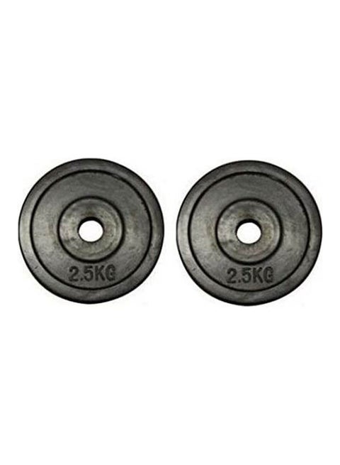 Not Coated Dumbbell  Two Pieces 2.5kg