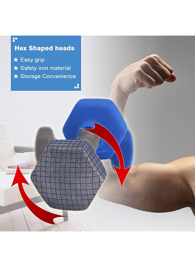 Fitness World - Classical Head Dumbbell 6kg - Image 1