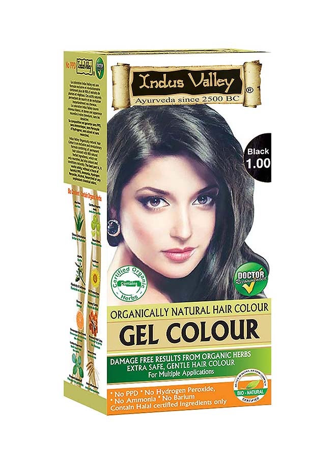 Indus Valley Natural Hair Color Gel Black  - Image 1