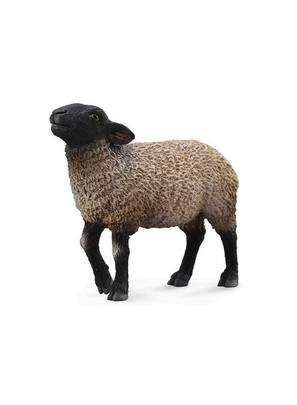 CollectA Suffolk 88636 Miniature Animal Figure 10.2x2.8x7.3inch 