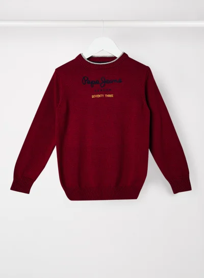 Pepe Jeans LONDON Kids/Teen Michael Sweater Maroon