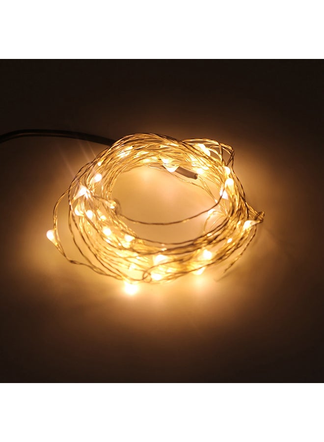 USB Plug-in Copper String Light Gold 2meter