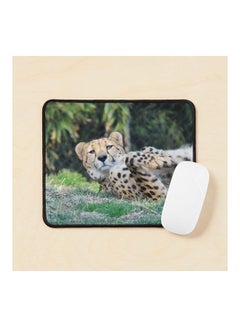 Cheetah At The National Zoo Mouse Pad Multicolour