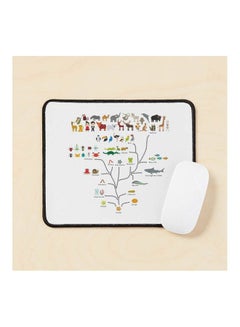Evolution Scale From Unicellular Organism To Mammals Evolution In Biology Scheme Mouse Pad Multicolour