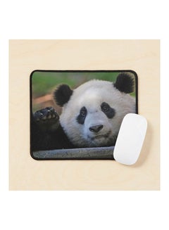 Giant Panda Xiao Qi Ji At The National Zoo Mouse Pad Multicolour