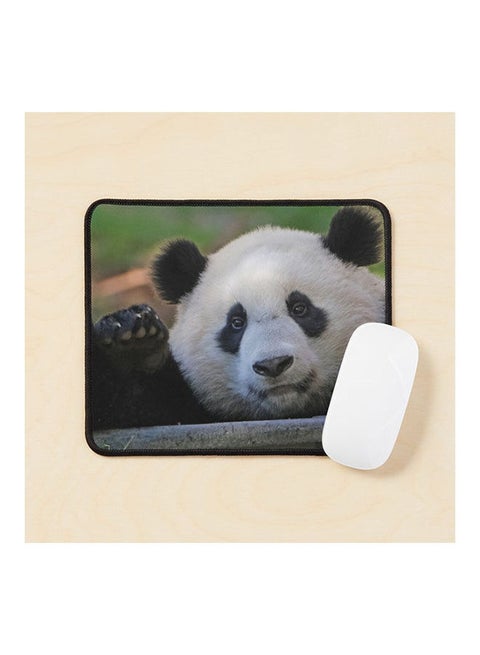 Giant Panda Xiao Qi Ji At The National Zoo Mouse Pad Multicolour