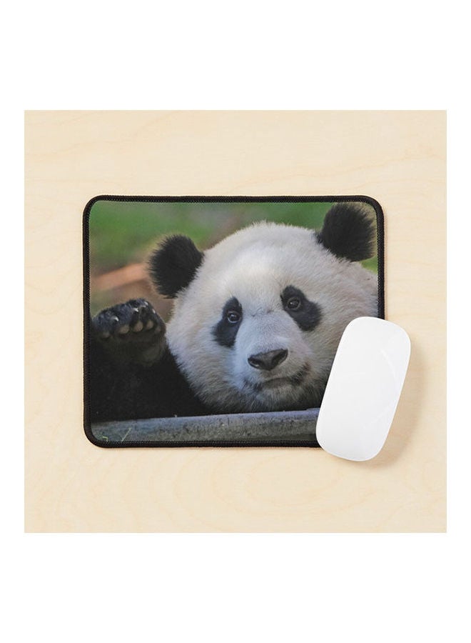 Generic - Giant Panda Xiao Qi Ji At The National Zoo Mouse Pad Multicolour - Image 1