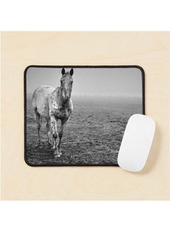 Appaloosa In The Fog 2 Mouse Pad Multicolour