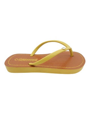 Yellow/Brown