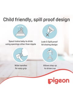 pigeon MagMag Step 2 Spout Cup, 5+ M, 200 mL - Assorted  - Image 5