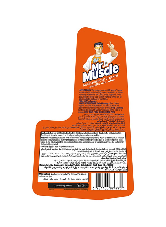 Mr Muscle - Multi-Purpose Floor Cleaner Lavender 1Liters - Image 1