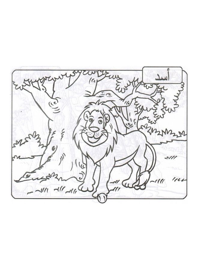 Coloring - Animals Paperback Arabic by Mona Shaheen - 2008 - Image 3