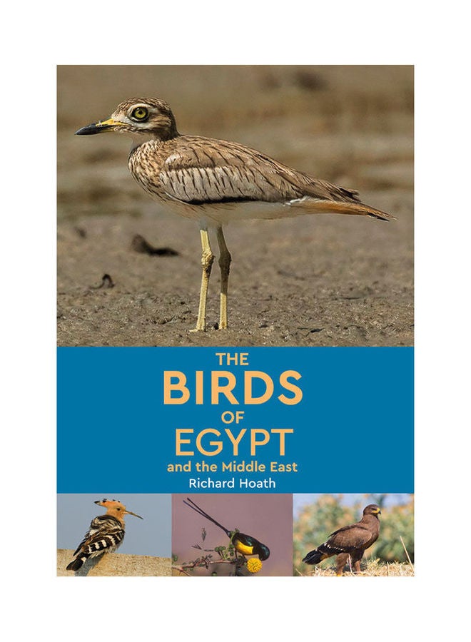 طيور مصر والشرق الأوسط