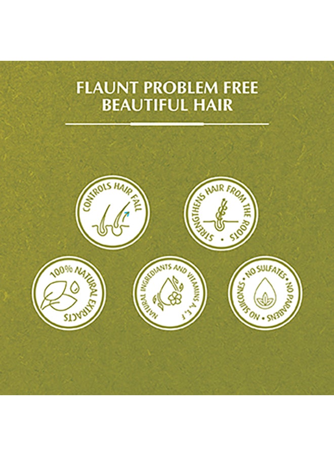 دابر زيت شعر غني بالزيتون لتغذية الشعر وحمايته 200ملليلتر - Image 5