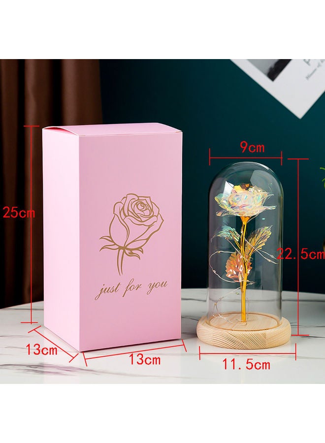 fashionhome Dome Lights Gold Foil Flower With Fairy String Multicolour  - Image 1