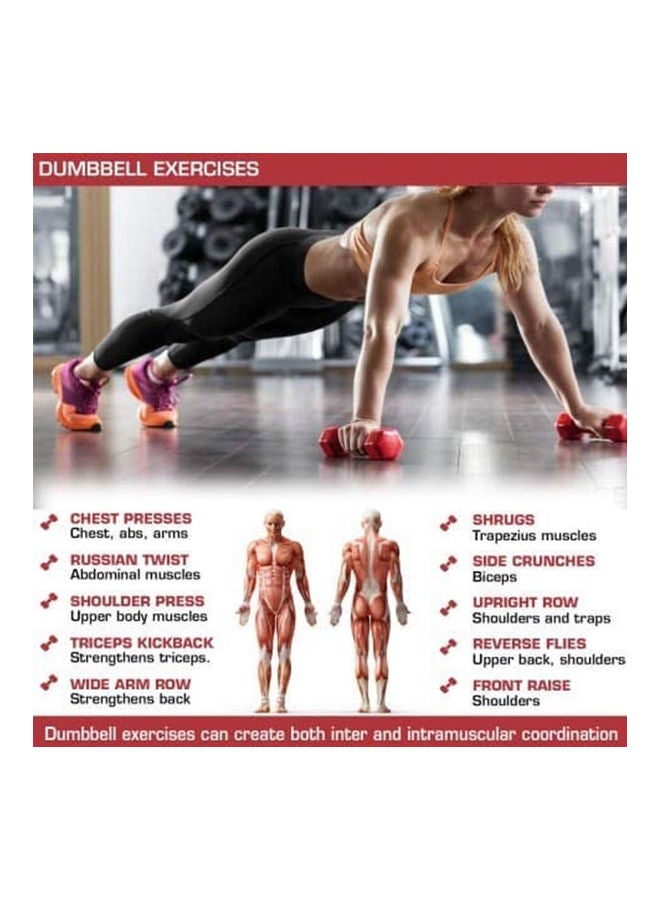 طقم دمبل عالي الجودة مكون من 6 قطع بوزن 10 كجم 10كيلوجرام - Image 3