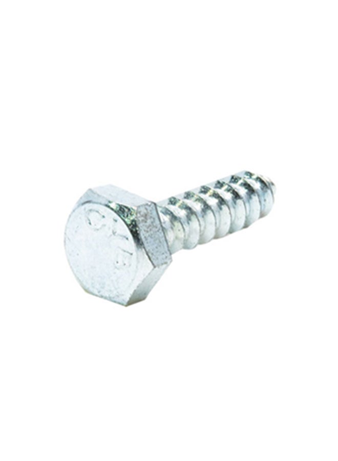 Homesmiths Coach Screw Silver 1/4x1inch - Image 1