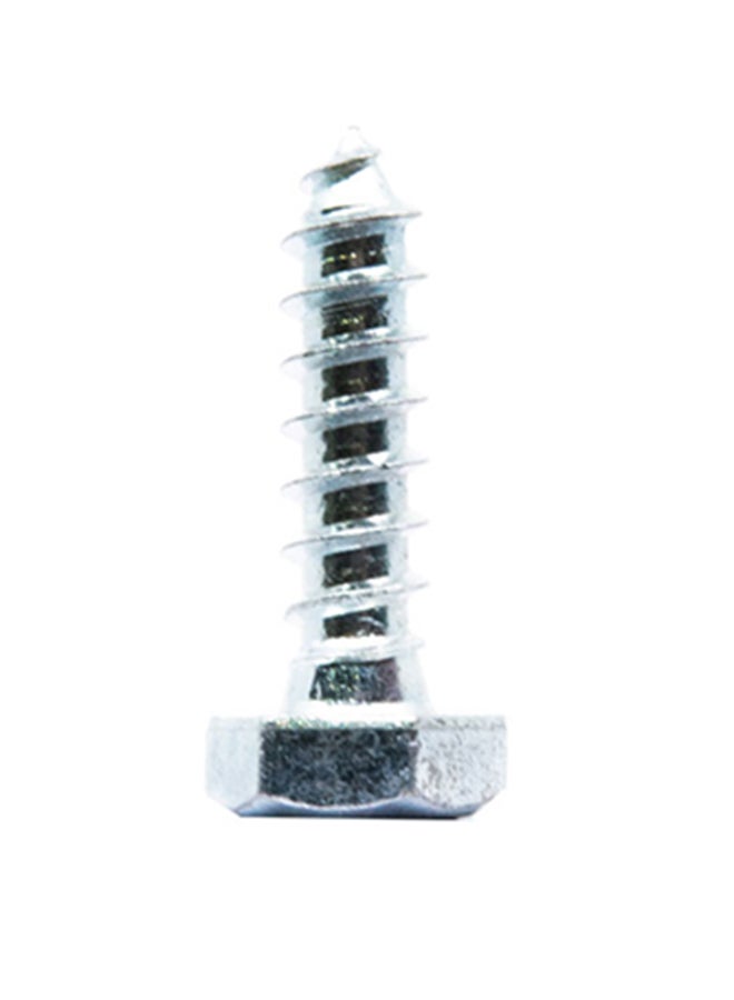 Homesmiths Coach Screw Silver 1/4x1inch - Image 2