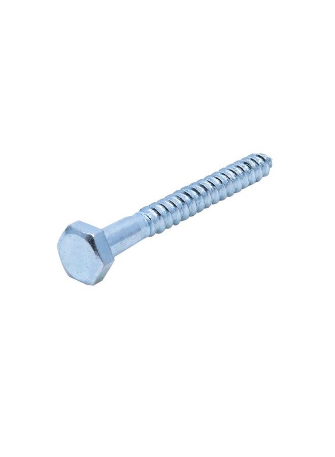 Homesmiths Coach Screw Silver 1/4x2inch - Image 2