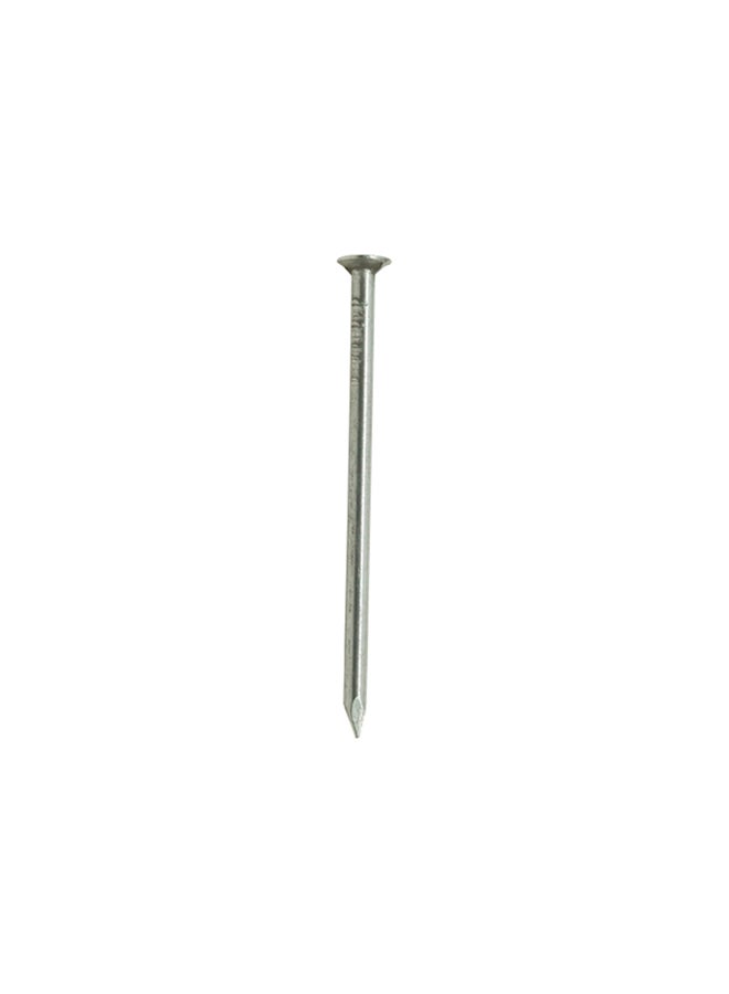 Homesmiths Self Tapping Screw Pan Head Silver 2x10inch  - Image 1