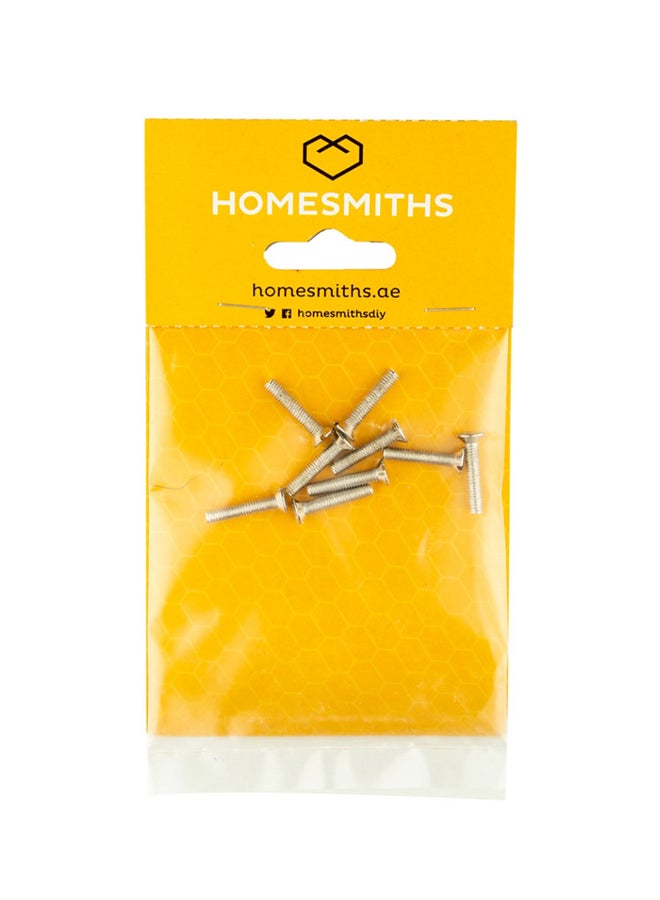 Homesmiths Self Tapping Screw Silver 1x6inch - Image 1