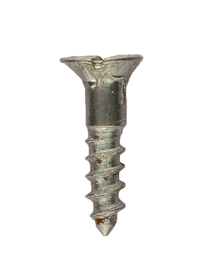 Homesmiths Mild Steel Wood Screw Silver 8x0.75inch - Image 2