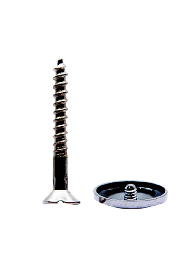 Homesmiths Mirror Screw Silver 1.5inch - Image 1