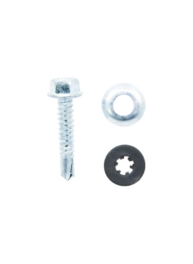 Homesmiths 10-Piece SD Screw Silver 1.25 inchx6  - Image 1