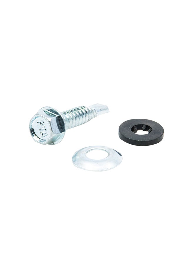 Homesmiths 10-Piece SD Screw Silver 1.25 inchx6  - Image 2