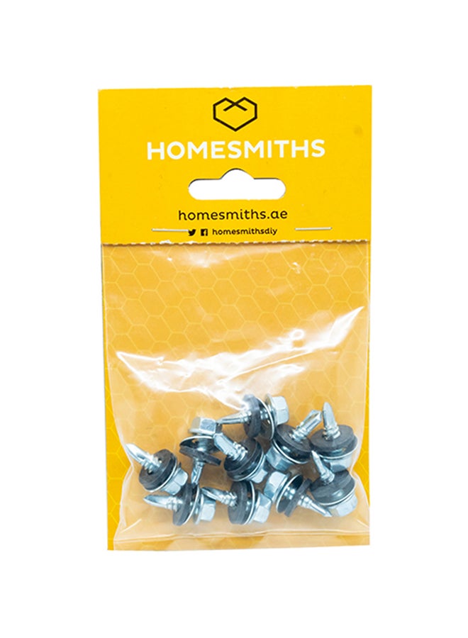 Homesmiths 10-Piece SD Screw Silver 0.75inchx6ml - Image 1