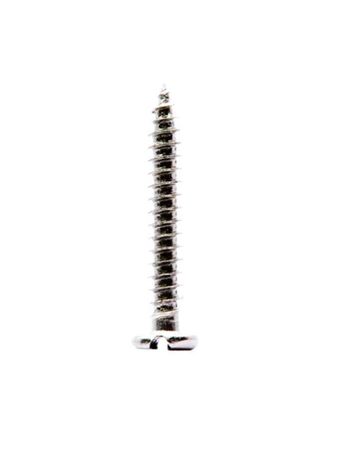 Homesmiths 10-Piece Self Tapping Screw Pan Head Silver 10x1.25inch - Image 1
