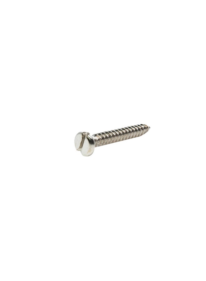 Homesmiths 10-Piece Self Tapping Screw Pan Head Silver 10x1.25inch - Image 2