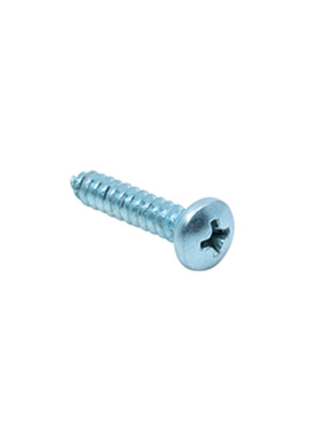 Homesmiths 10-Piece Self Tapping Screw Pan Head Silver 10x1inch - Image 3