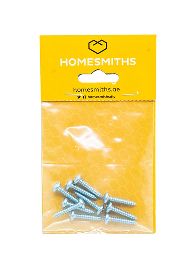 Homesmiths 10-Piece Self Tapping Screw Pan Head Silver 10x1inch - Image 1