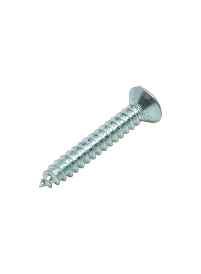 Homesmiths ST Screw Silver 6x1inch - Image 3