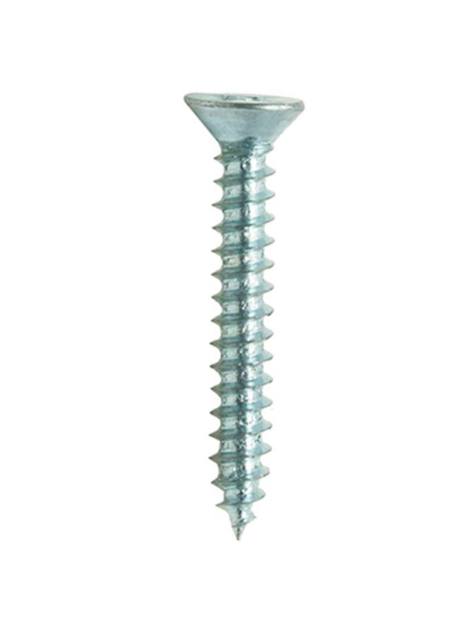 Homesmiths ST Screw Silver 6x1inch - Image 1
