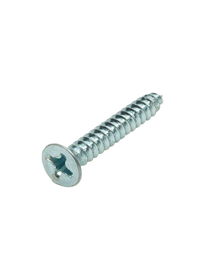 Homesmiths ST Screw Silver 6x1inch - Image 2
