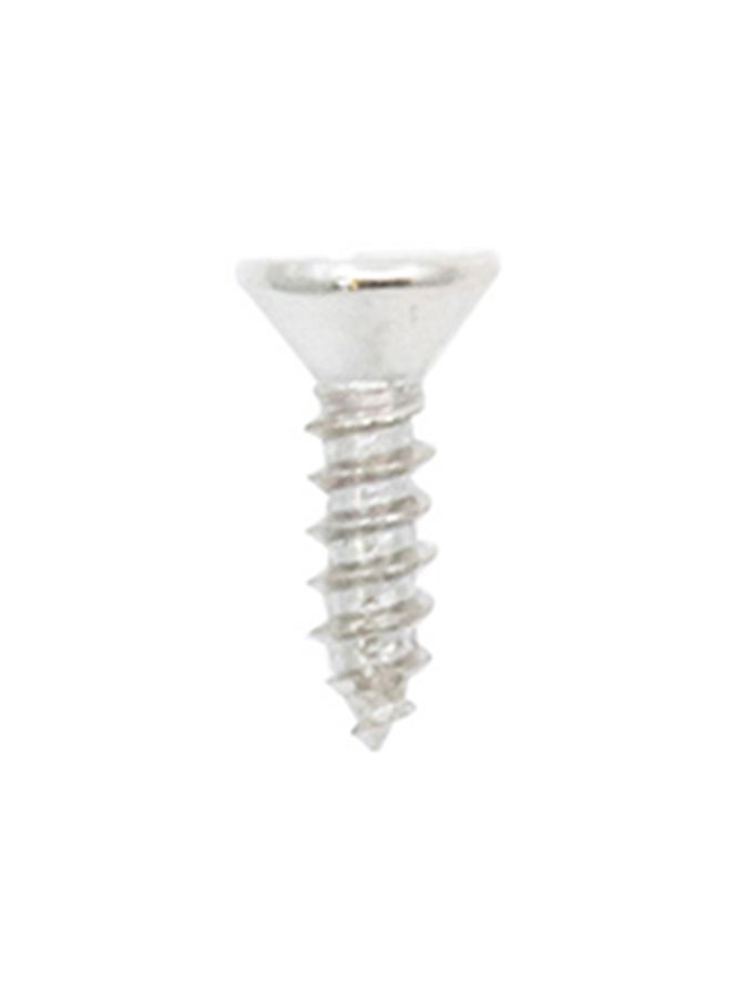 Homesmiths ST Screw Silver 8x1inch - Image 1