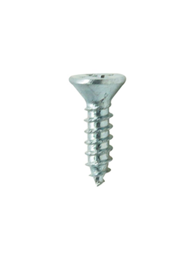 Homesmiths ST Screw Silver 0.5x6inch - Image 1