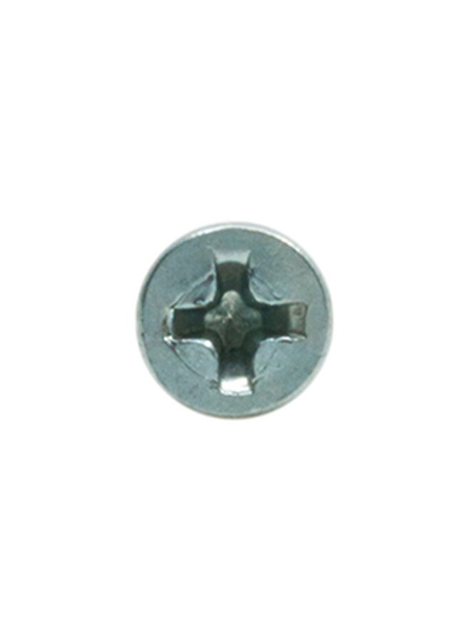 Homesmiths ST Screw Silver 0.5x6inch - Image 2