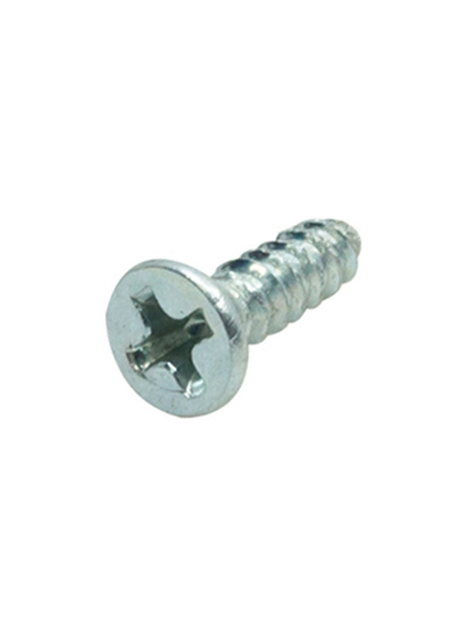 Homesmiths ST Screw Silver 0.5x6inch - Image 3