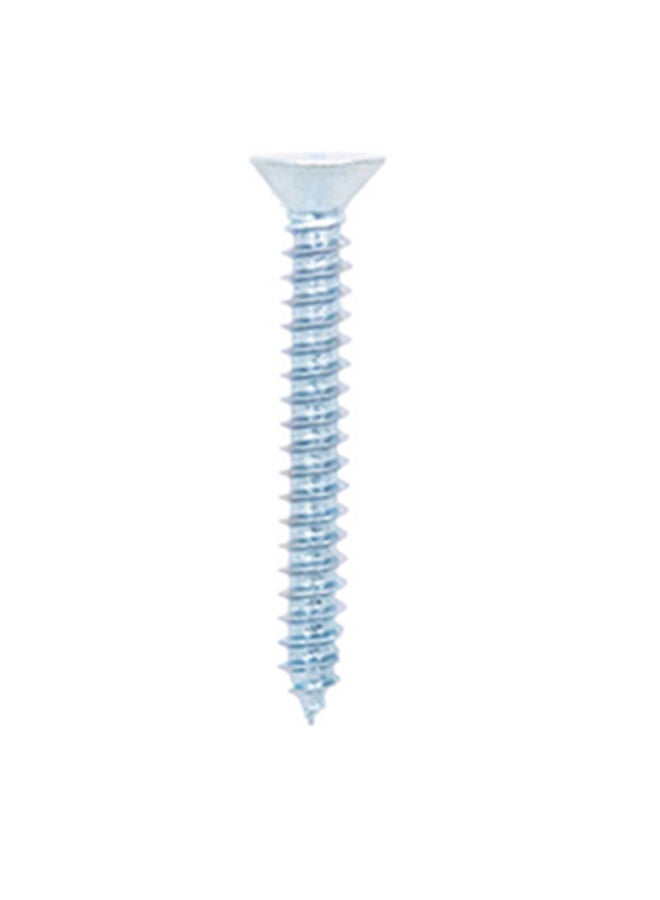 Homesmiths ST Screw Silver 10x1.5inch - Image 1