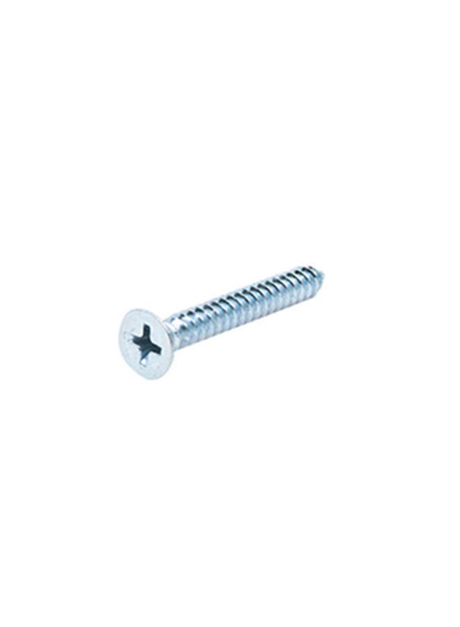 Homesmiths ST Screw Silver 10x1.5inch - Image 2