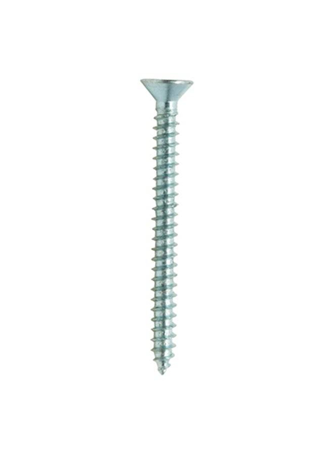 Homesmiths ST Screw Silver 6x1.5inch - Image 1